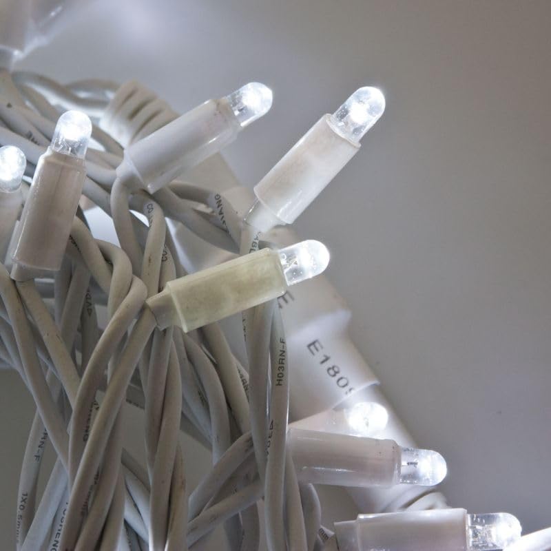 Catena Luminosa Natalizia a LED Luce fredda Professionale, 10 metri con 100 LED Ultra-Luminosi, Prolungabile, per Esterni, Effetto Flash, Luci di Natale da Esterno