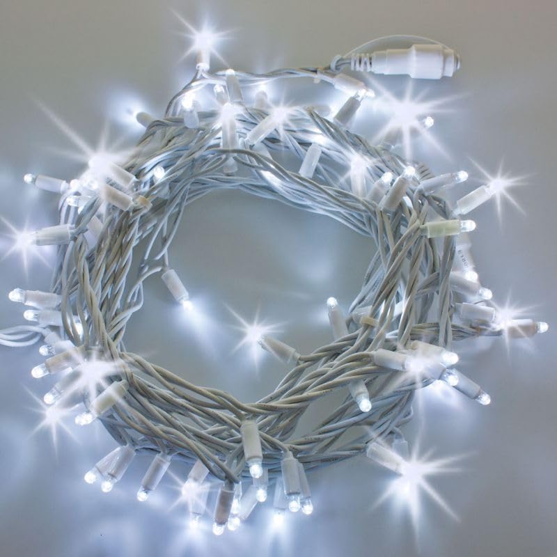 Catena Luminosa Natalizia a LED Luce fredda Professionale, 10 metri con 100 LED Ultra-Luminosi, Prolungabile, per Esterni, Effetto Flash, Luci di Natale da Esterno