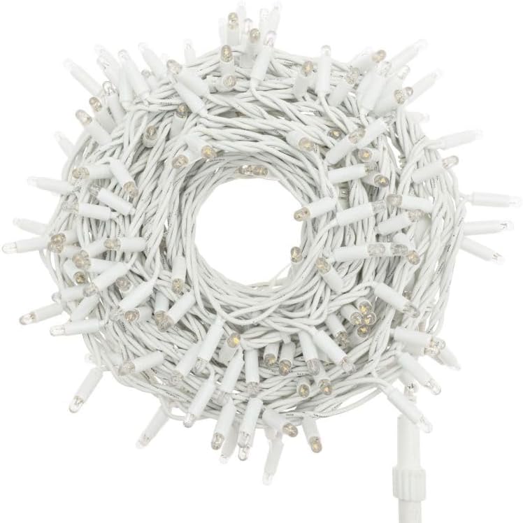 Catena Luminosa Natalizia a LED Luce fredda Professionale, 10 metri con 100 LED Ultra-Luminosi, Prolungabile, per Esterni, Effetto Flash, Luci di Natale da Esterno