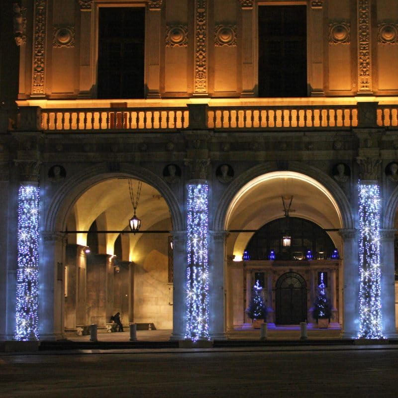 Catena Luminosa Natalizia a LED Luce fredda Professionale, 10 metri con 100 LED Ultra-Luminosi, Prolungabile, per Esterni, Effetto Flash, Luci di Natale da Esterno